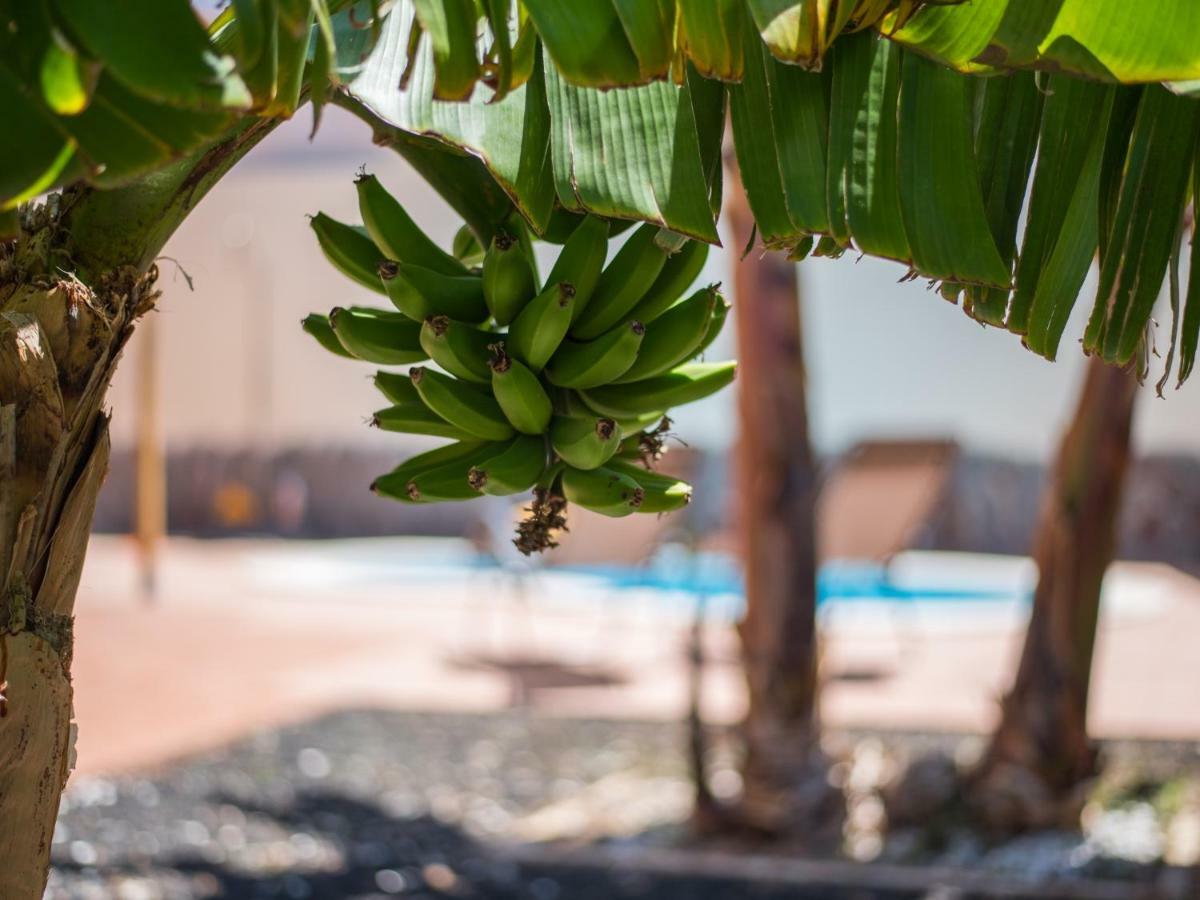 Amazing Villa Viktoria! Pool Big Garden Costa Adeje  Buitenkant foto